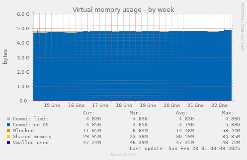 Virtual memory usage